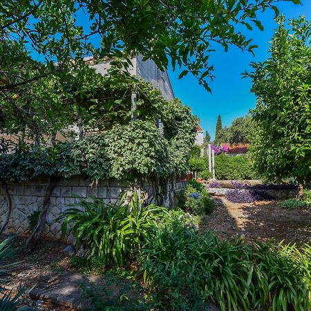 דוברובניק Vizmeg Holiday Home מראה חיצוני תמונה