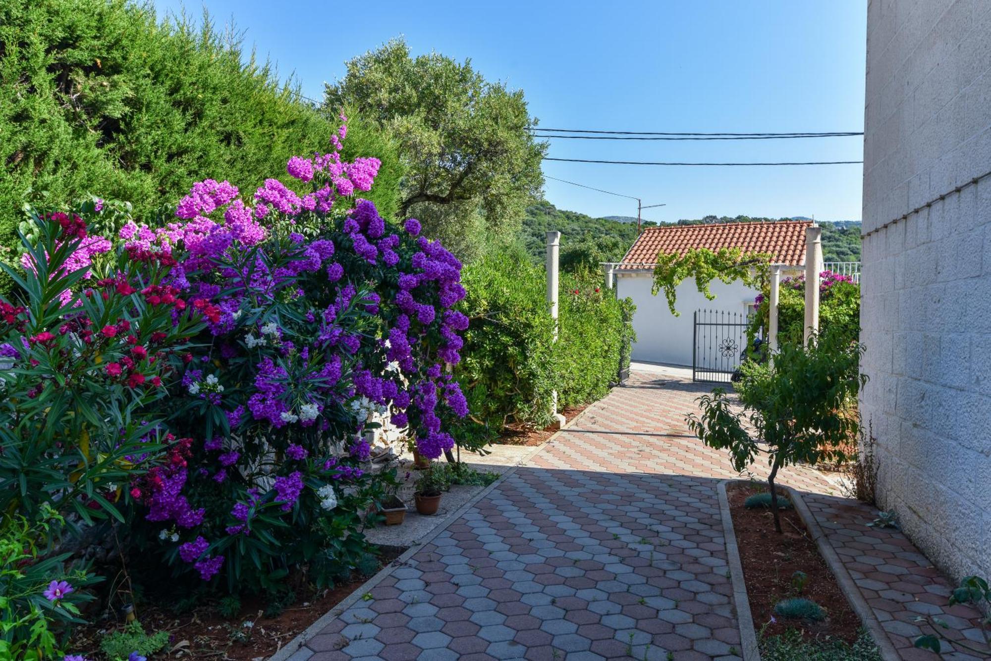 דוברובניק Vizmeg Holiday Home מראה חיצוני תמונה